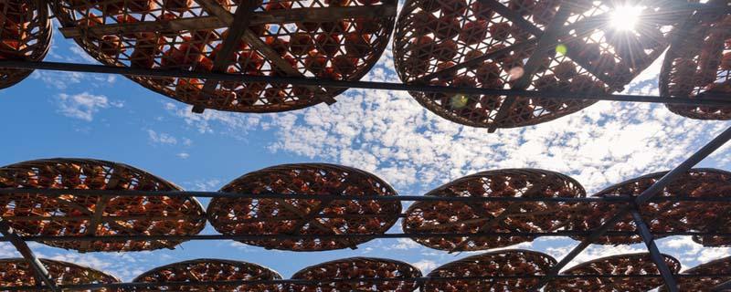 晒柿饼要削皮吗 晒柿饼为什么要捏柿子