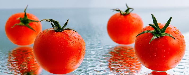 西红柿里面是绿色的能吃吗 西红柿的籽是绿色的能吃吗