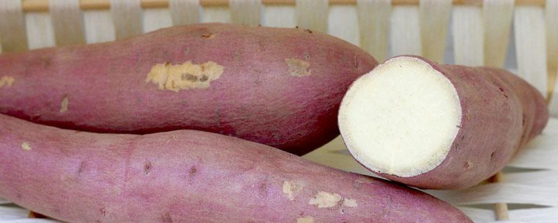 红薯和紫薯的区别 红薯和紫薯哪个热量高