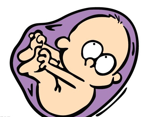 多次流产后怀孕要注意的问题（多次流产后怀孕要注意的问题是什么）