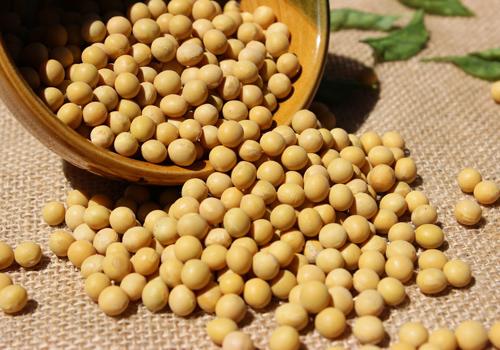 女人内分泌失调怎么调理（四十岁女人内分泌失调怎么调理）