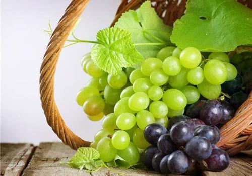 肾虚吃什么水果好（肾虚吃什么水果好得快）