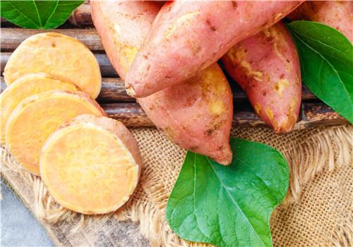 秋季荨麻疹可以吃红薯吗 得荨麻疹可以吃红薯吗