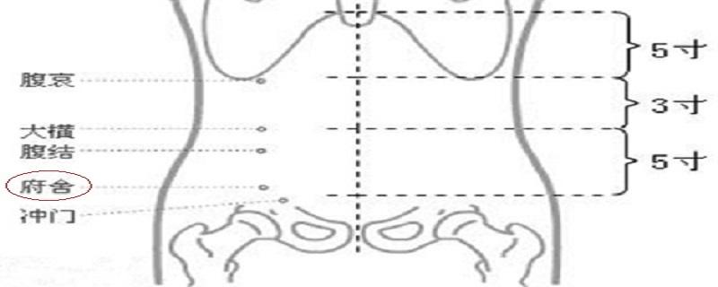 府舍准确位置图（府舍准确位置图和作用视频）