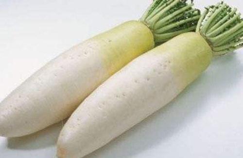 患静脉曲张饮食禁忌(静脉曲张的饮食禁忌)