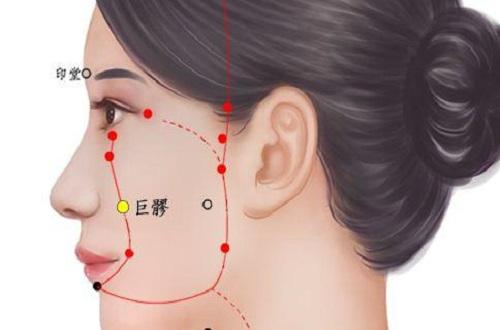 巨髎的准确位置图（巨髎的准确位置图片）