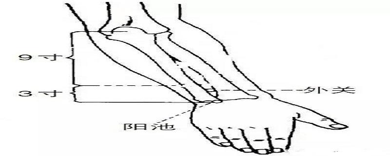 外关针灸位置图和作用 针灸内关的准确位置图