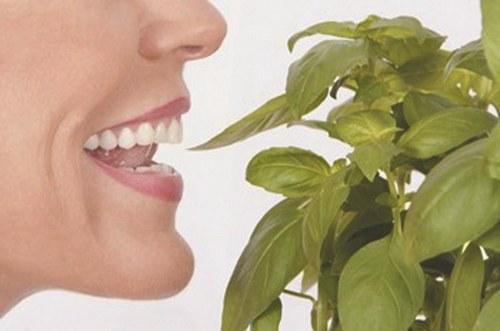 口臭是什么原因 口臭是什么原因引起的,怎样去除