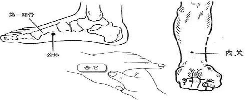 公孙的位置图和作用 公孙准确位置图和作用一