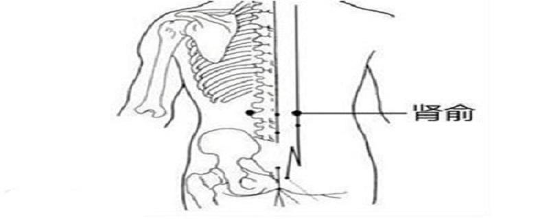 肾俞的简易找法 肾俞简单找法