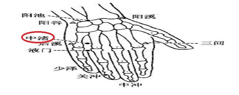 中渚的正确位置 中渚的准确位置及作用