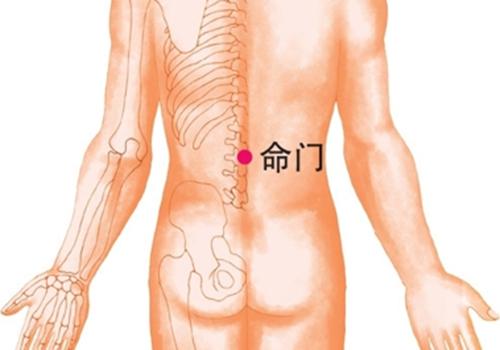 早泄拔罐位置示意图 拔罐示意图及定位