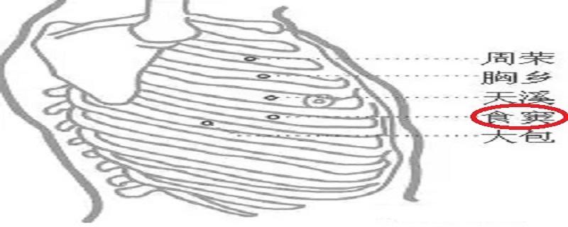 食窦准确位置图和作用(食窦准确位置图和作用视频)