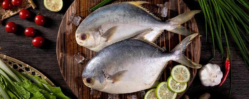 孕妇能不能吃金鲳鱼 孕妇能不能吃金鲳鱼吗