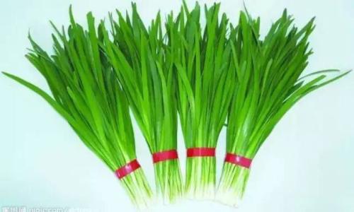 吃什么食物补肾（吃什么食物补肾效果最好）