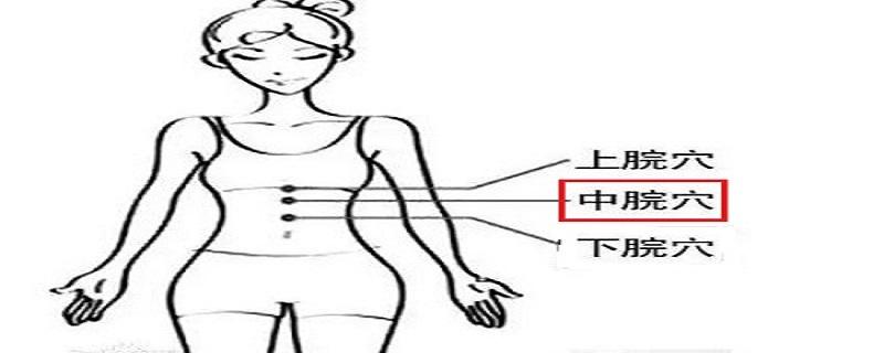 中脘怎么找 中脘怎么找准确位置