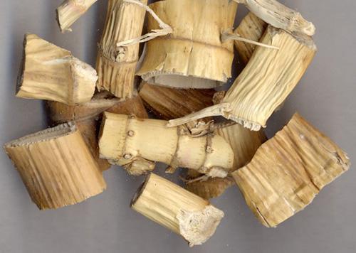 治疗结膜炎的妙招 治疗结膜炎最好的办法