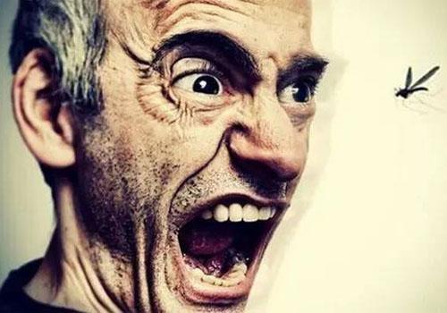 蚊子为什么喜欢在耳边飞（蚊子为什么喜欢在耳边飞行）