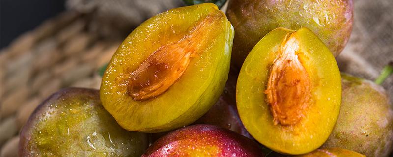 牛甘果泡酒方法大全（牛甘果的泡酒方法）