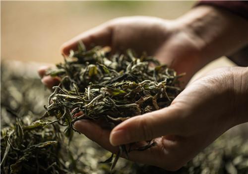 茶叶都有哪些用途 茶叶还有什么用途