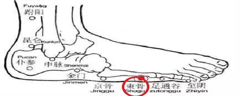 束骨定位和主治 束骨的定位和主治