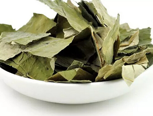 吃什么中药减肥最快 吃什么中药减肥最快 推荐6种效果好的中药