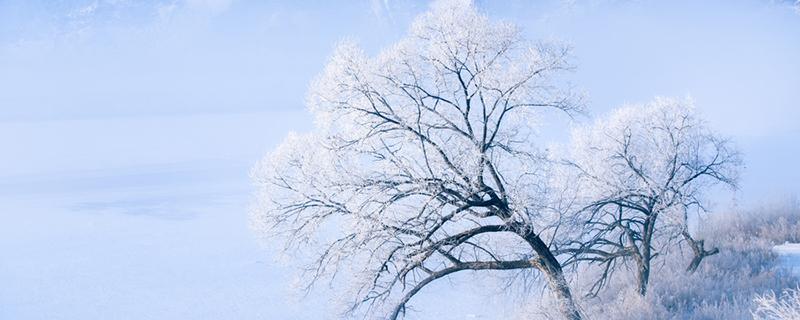 大雪是不是降水的形式（雪是降水吗）