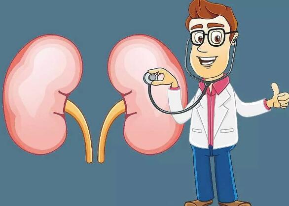 肾脏病的预警信号 肾脏病的预警信号书籍