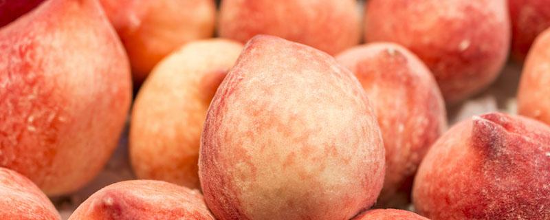 减肥期间可以吃水蜜桃吗 吃水蜜桃会胖吗