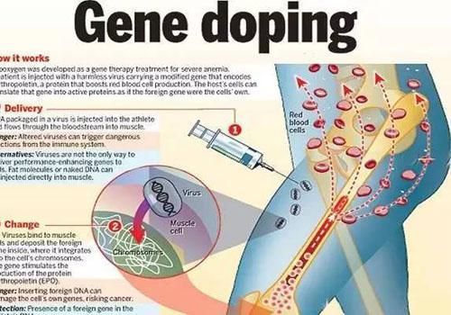 兴奋剂的作用 兴奋剂的作用机理