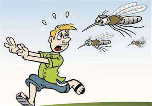 蚊子喜欢叮咬什么血型的人（蚊子喜欢叮咬什么血型的人的脚）