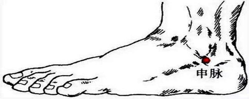 申脉的准确位置视频(申脉的准确位置视频怎么进针)