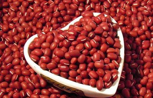 祛湿的食物（祛湿的食物吃多了有啥坏处）