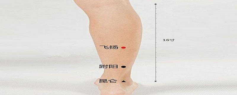 飞扬的准确位视频 飞扬的位置视频