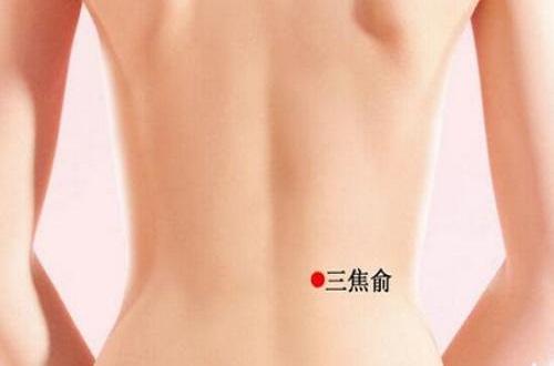 三焦俞的功效与作用(三焦俞主治)