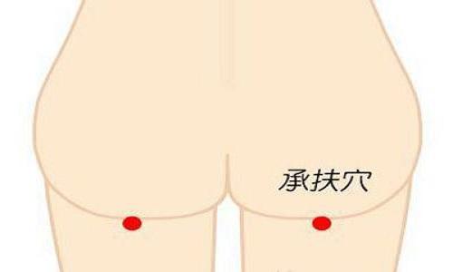 承扶准确位置图和作用 承扶准确位置图和作用的准确位置图片