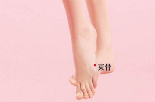 束骨的准确位置图(束骨的准确位置图片图)