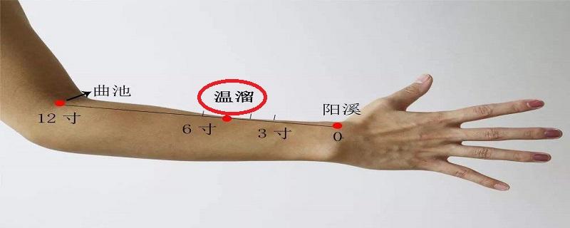 怎样找温溜准确位置 温溜的定位和主治