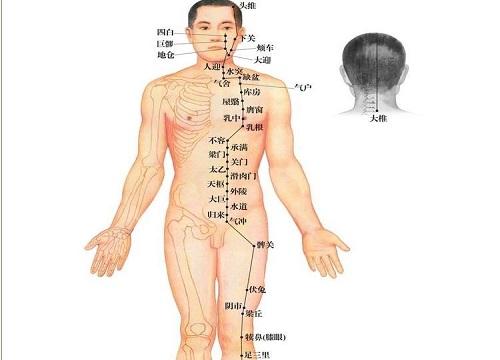 足阳明胃经的循行路线图（足阳明胃经的循行路线图讲解大肠经的意思）