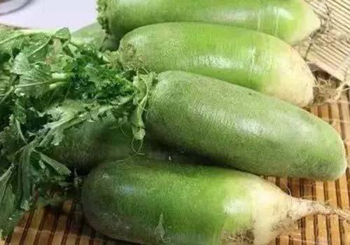 夏至适合吃什么（夏至适合吃什么食物）