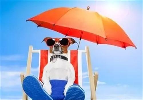 夏天如何保护眼睛（夏天怎么保护眼睛）