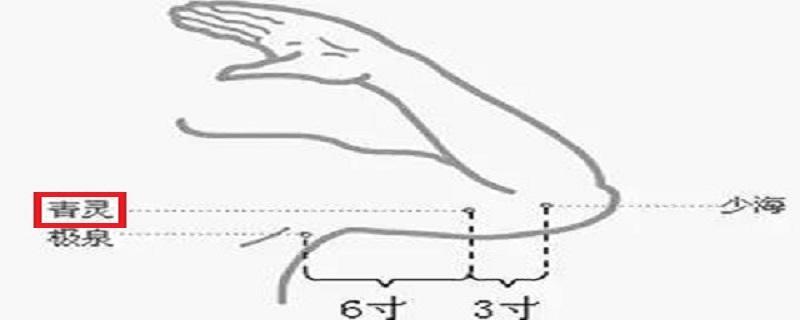 青灵的准确位置图作用（青灵的准确位置图图解）