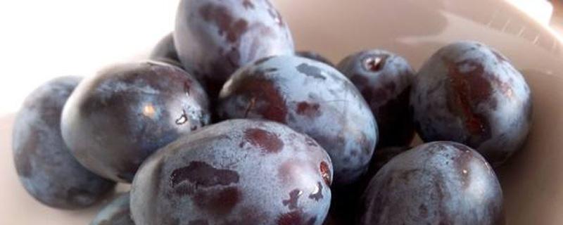 西梅吃多了会上火吗 西梅吃多了会上火吗牙疼