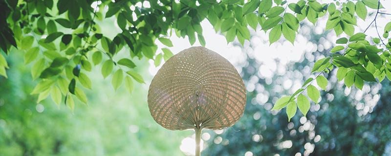 夏天房间闷热怎么降温 夏天房间太热怎么降温