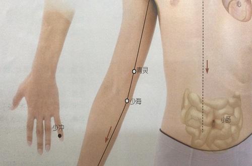 少海准确位置图和作用（少海的准确位置图和作用的准确位置图作用）