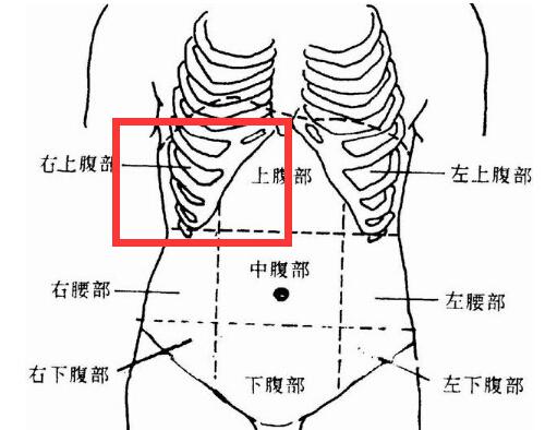 右上腹部疼痛的可能病因（右上腹痛是什么原因）