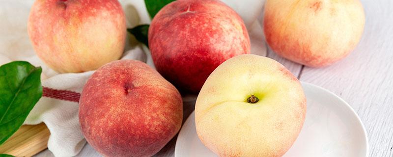 减肥期间能吃桃子吗 减肥吃桃子会不会发胖