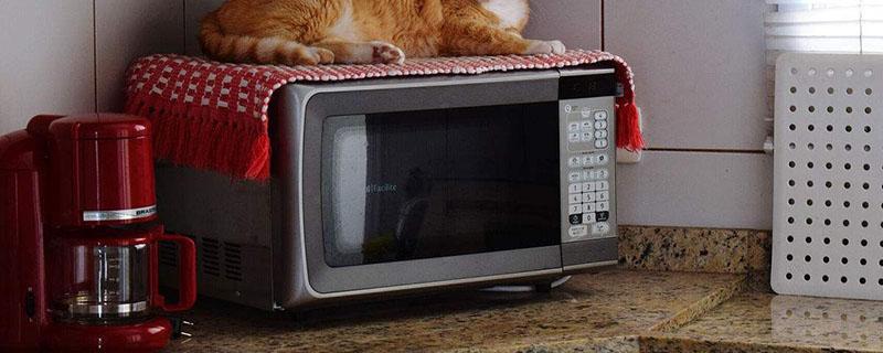 微波炉可以用来蒸菜吗 什么菜可以用微波炉蒸着吃