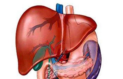 肝囊肿是怎么回事 肝囊肿是怎么回事?有危险吗