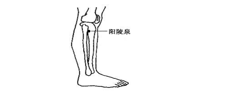 针灸阳陵泉作用 艾灸阳陵泉的作用